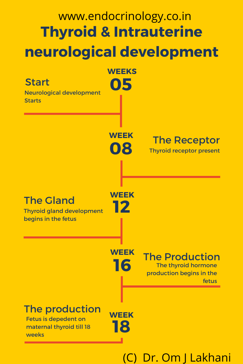 Yellow Design Process Blog Graphic.png